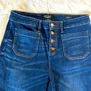 Judy Blue button fly, nearly new, skinny fit